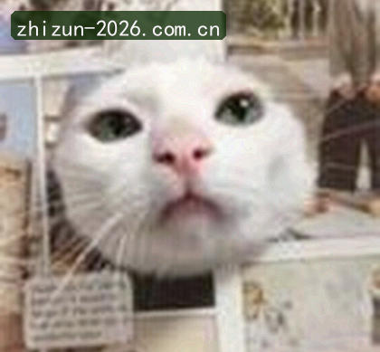 王磊